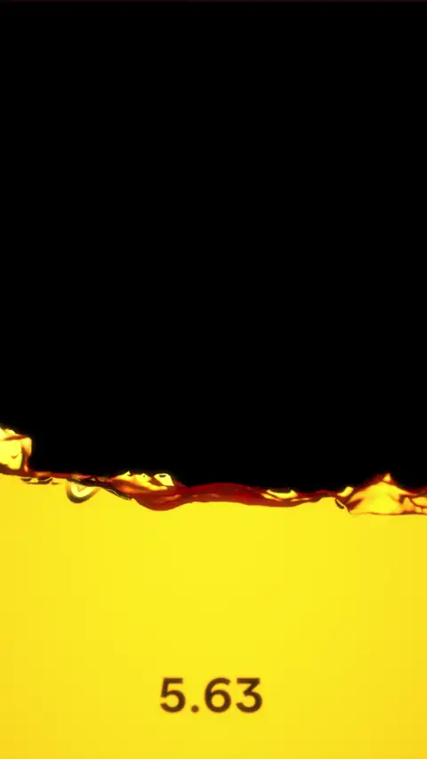 Onitsuka Tiger Energy